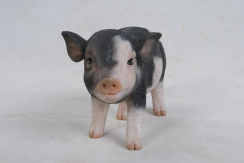 9" Black and Beige Standing Postured Baby Piglet Figurine