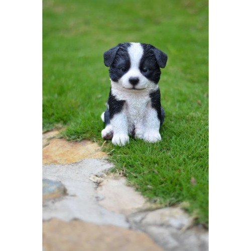 6.75" White and Black Border Collie Puppy Figurine