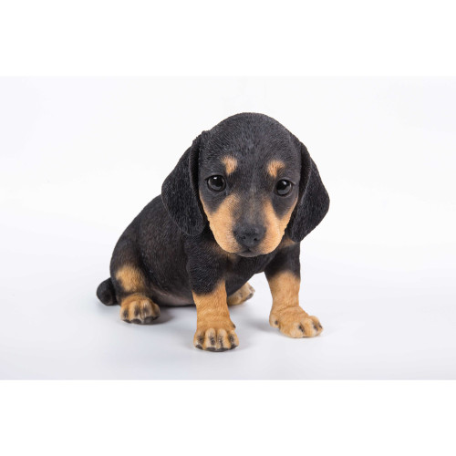 7.5" Black and Brown Dachshund Puppy Statue