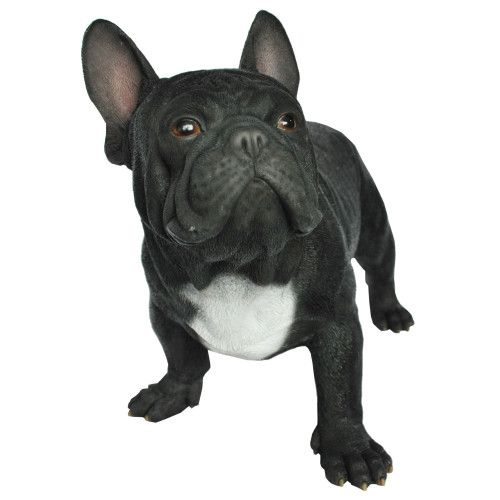 20" Black and White French Bulldog Outdoor Garden Statue