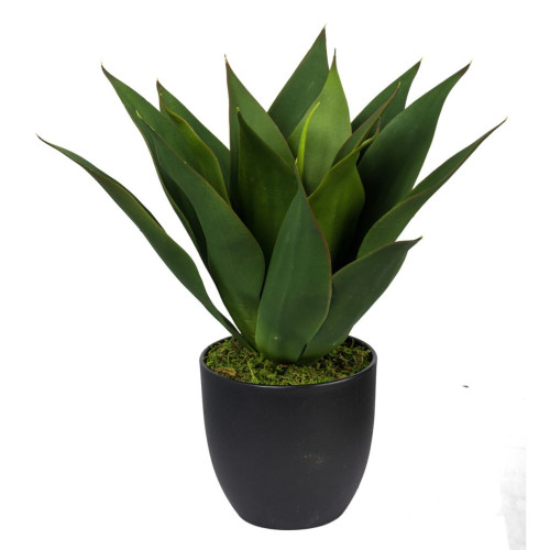 15" Green and Black Botanical Faux Round Potted Aloe - 33684743
