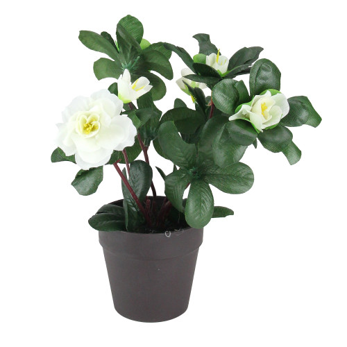 8" Green and White Potted Artificial Begonia Plant - 32823071