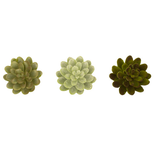 Set of 3 Green Small Succulents 3"