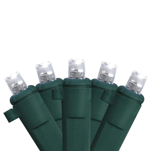 4' x 6' White Twinkling LED Net Style Christmas Lights - Green Wire