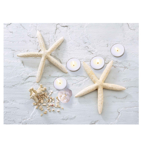 LED Lighted Starfish, Seashell and Tea Light Candles Canvas Wall Art 15.75"
