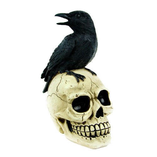 6.5" Black and White Sitting Crow on Skull Halloween Decoration
