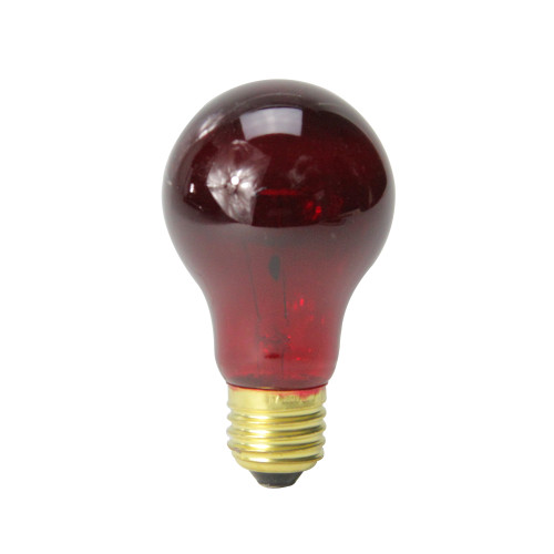 Club Pack of 25 Transparent Red E26 Base Replacement A19 Light Bulbs - 25 Watts