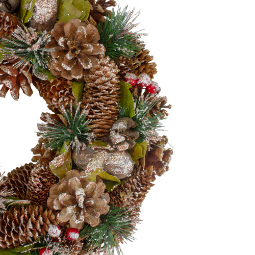 Northlight Frosted Pine Cones and Berries Artificial Christmas Wreath - 18-Inch, Unlit, Brown