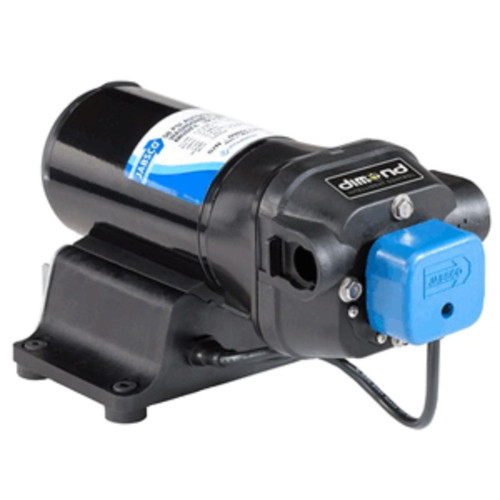 17" Black and Blue Water Pressure Pump with Strainer