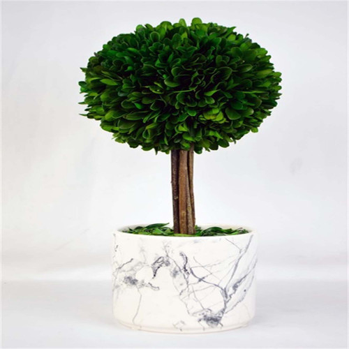 5" Wooden Boxwood Ball Topiary with Marble Pot