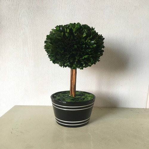 5" Wooden Boxwood Ball Topiary with Black Pot