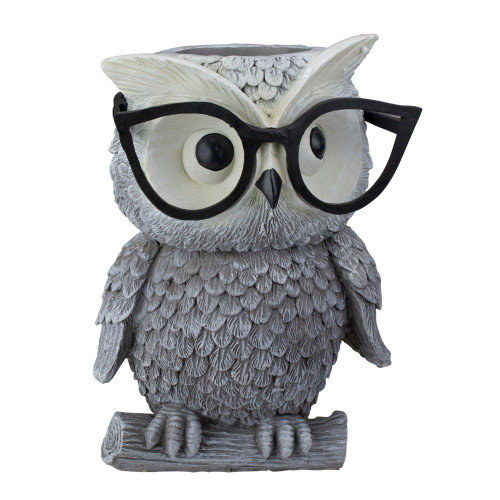 9.25" Gray Silly Bespectacled Owl Spring Outdoor Patio Garden Planter