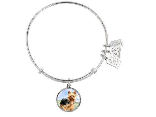 Wind and Fire Pet Collection Expandable Bangle with Yorkshire Terrier Photo Charm in Rhodium Plated Brass CGWF754SAV