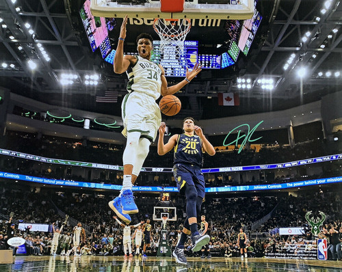 Giannis Antetokounmpo Signed 16x20 Milwaukee Bucks Basketball Photo JSA ITP