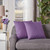 Set of 2 Purple Solid Square Throw Pillows 18''