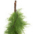 Real Touch™? Cedar Artificial Christmas Garland - 5' x 8" - Unlit