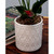 5.5" Matte White Ceramic Cache Pot Planter