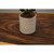5.5" Matte White Ceramic Cache Pot Planter