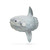 3.25" Gray and Blue Educational Teaching Tool Sunfish with Stand Figurine