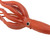 9.25" Red Giant Squid Educational Teaching Figurine
