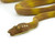 18" Orange and Yellow Amazon Tree Boa Educational Teaching Figurine