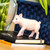 4.5" Pink and Black Piglet Educational Teaching Figurine