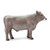 5.25" Brown Swiss Bull Educational Teaching Figurine