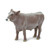 5.25" Brown Swiss Bull Educational Teaching Figurine