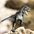6.50" Brown and Green Tyrannosaurus Rex Figurine