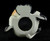 Belle the Black and White Hungry Cow Coin Bank