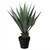 30" Green and Brown Potted Artificial Agave Succulent Plant