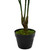 31" Green and Orange Artificial Citrus Mitis Tree In a Black Pot