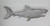 37 Inch Wall Mounted Metal Shark Plaque Hanging Coastal Sculpture Decor Art