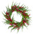 Frosted Red Berries Artificial Christmas Wreath - 26-Inch, Unlit