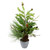 Real Touch™? Potted Mixed Pine and Cedar Artificial Christmas Tree - 24" - Unlit