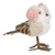 6.25" Winter Bird in Pink Earmuffs Tabletop Christmas Decoration