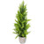 Upswept Frosted Cedar Artificial Potted Christmas Tree - 17" - Unlit