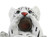 White Bengal Tiger Cub Tabletop Single Wine Bottle Holder Display