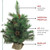 2' Royal Oregon Pine Medium Artificial Christmas Tree in Burlap Base - Unlit