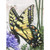 Yellow and Purple Butterfly Garden Pizazz Print Framed Wall Decor 10" x 10"