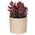 7" Purple Artificial Succulent in Faux Wood Pot