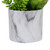 6.5" Green Artificial Succulent Arrangement in Faux Marble Pot