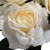 19" Cream White Artificial Rose Flower Bouquet