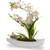 13" Potted White Orchid Flowers