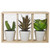 10.75" Artificial Mixed Potted Succulents in Wooden Box