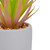 6.5" Green Artificial Sword Grass in a White Pot