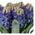 16" Decorative Artificial Etta Hyacinth Bouquet Arrangement