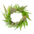 Succulents and Foliage Artificial Spring Twig Wreath, Green - 22-Inch