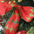 4' Pre-Lit Red Ribbon Ornamented Artificial Christmas Tree - Clear Lights