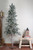 7' Unlit Slim Frosted and Glittered Woodland Alpine Artificial Christmas Tree